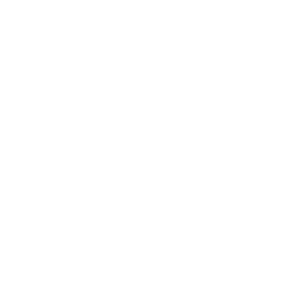 Boats Logo